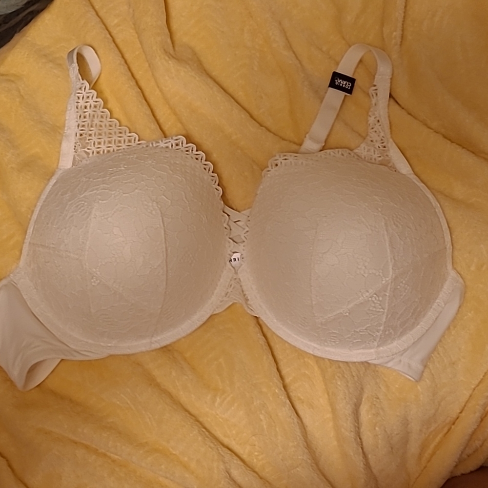 Torrid Push-up plunge bra